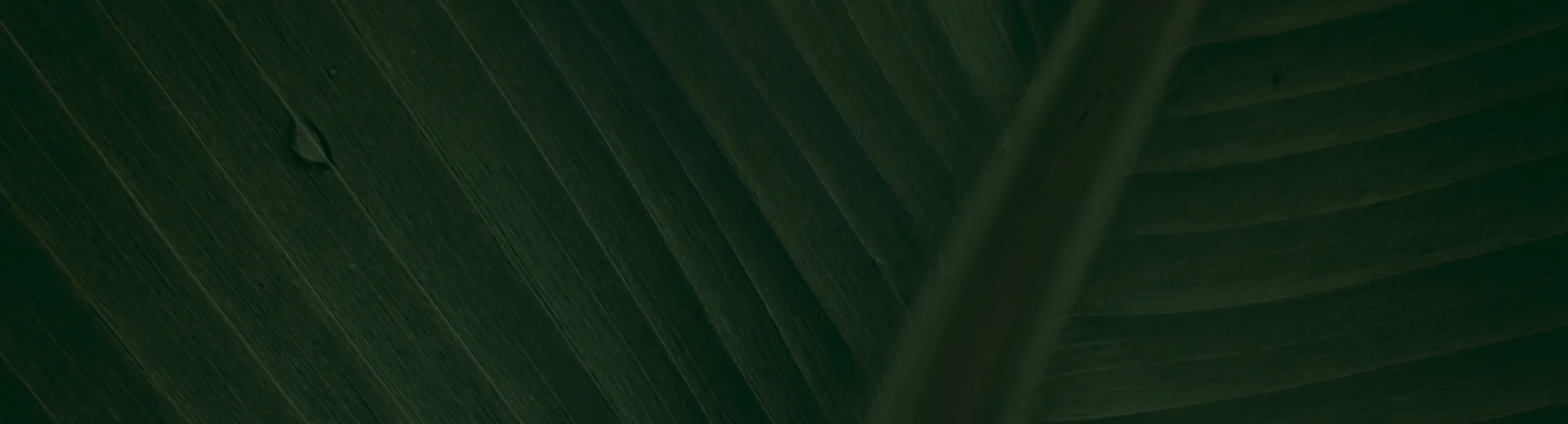 hero-image_optimized Color Correction & Grading Services