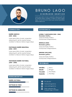 Professional CV