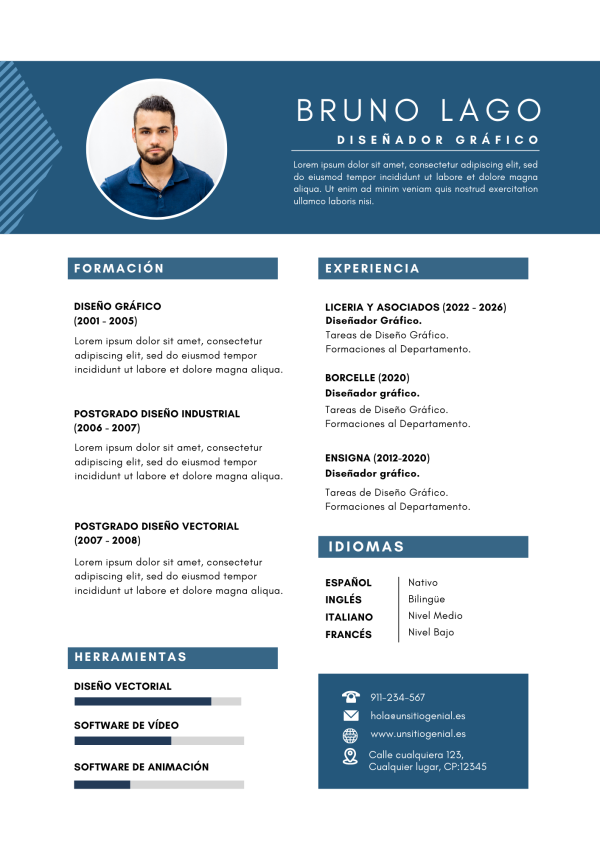 example2 Professional CV