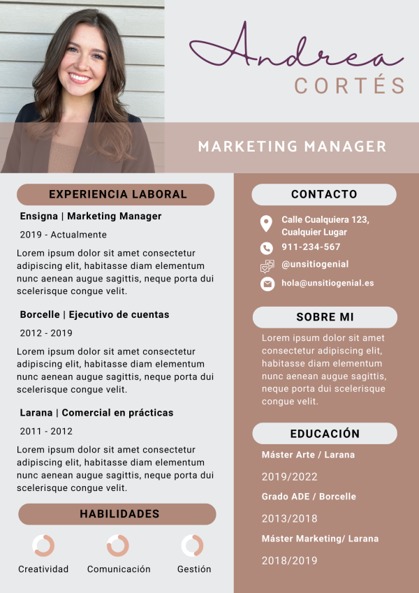 example3 Bilingual CV